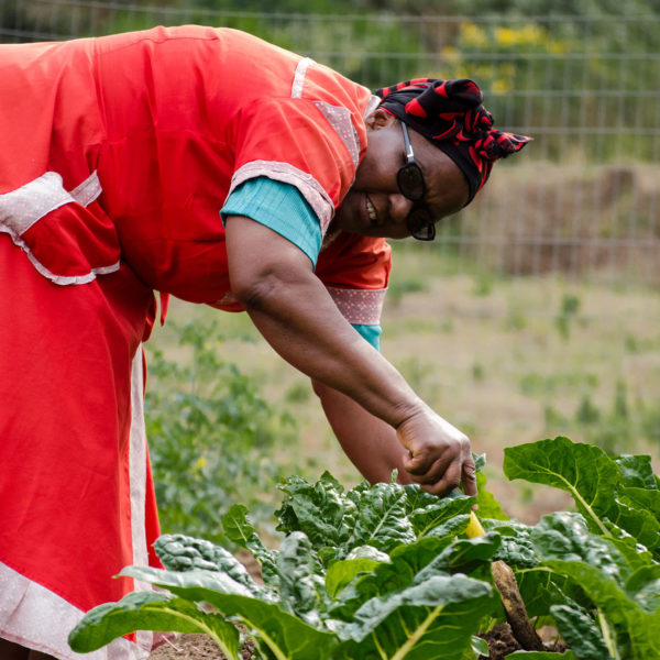 Stronger Together - Thangiwes Story - Hillcrest AIDS Centre Trust News
